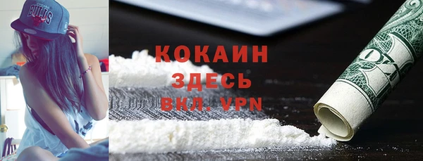 прущие грибы Алексин