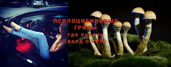 прущие грибы Алексин