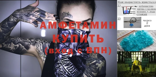 прущие грибы Алексин