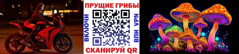 Галлюциногенные грибы Cubensis  сайты даркнета Telegram  Тавда  купить наркоту 
