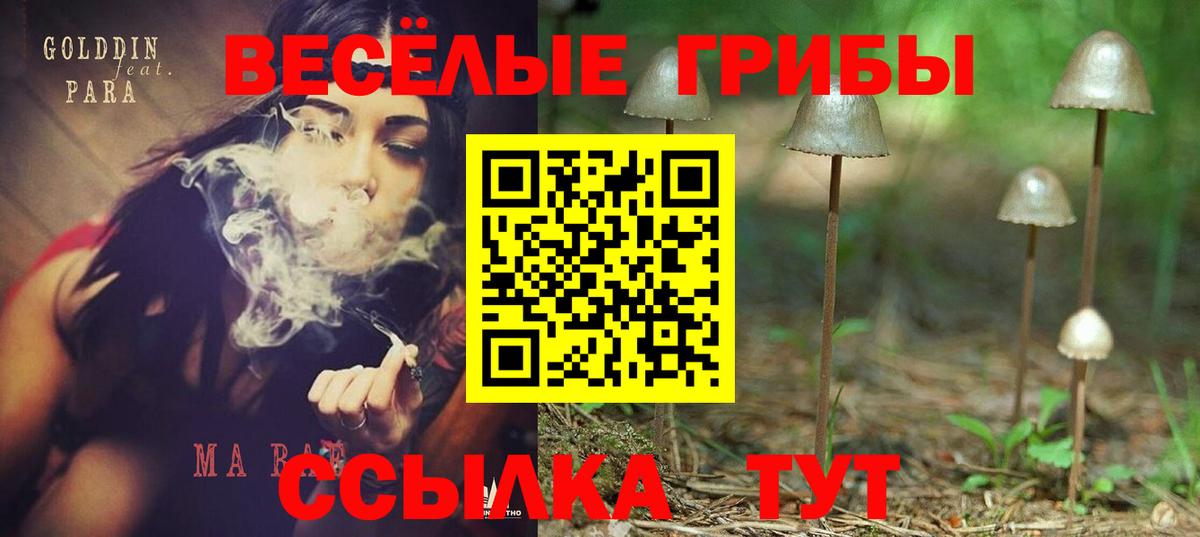 наркотики  Вход с VPN  Тавда  Галлюциногенные грибы GOLDEN TEACHER 