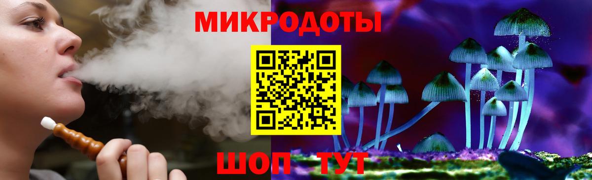 Галлюциногенные грибы Psilocybe Тавда