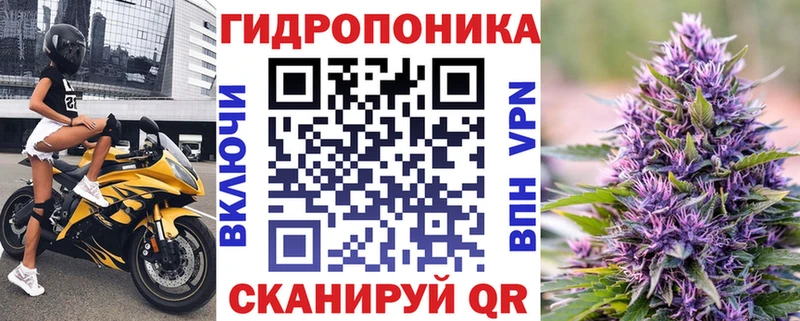 Бошки Шишки семена Тавда